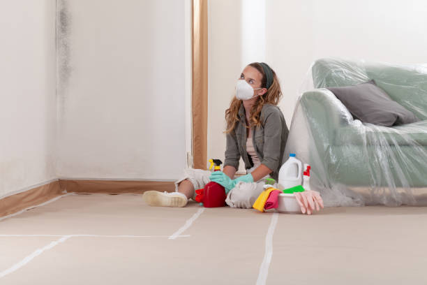 Reliable Crawl Space Mold Removal contractor in Westminster, TX by WQB Mold Removal