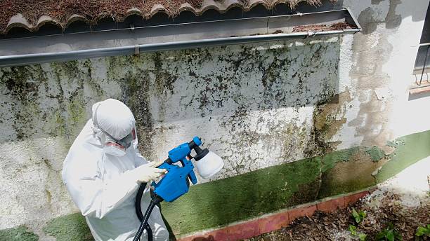 Top rated local Crawl Space Mold Removal specialists in Westminster, TX